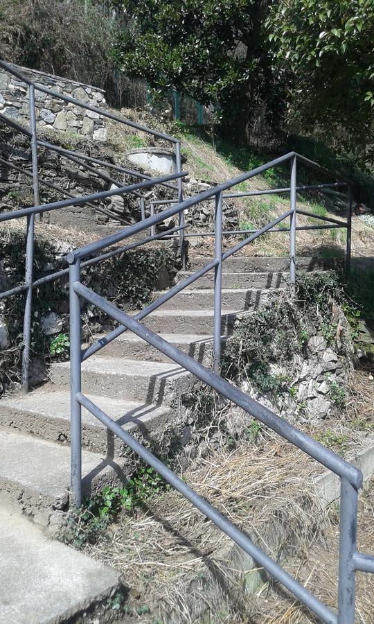 Il Nido Sul Lago Στρέσα Εξωτερικό φωτογραφία